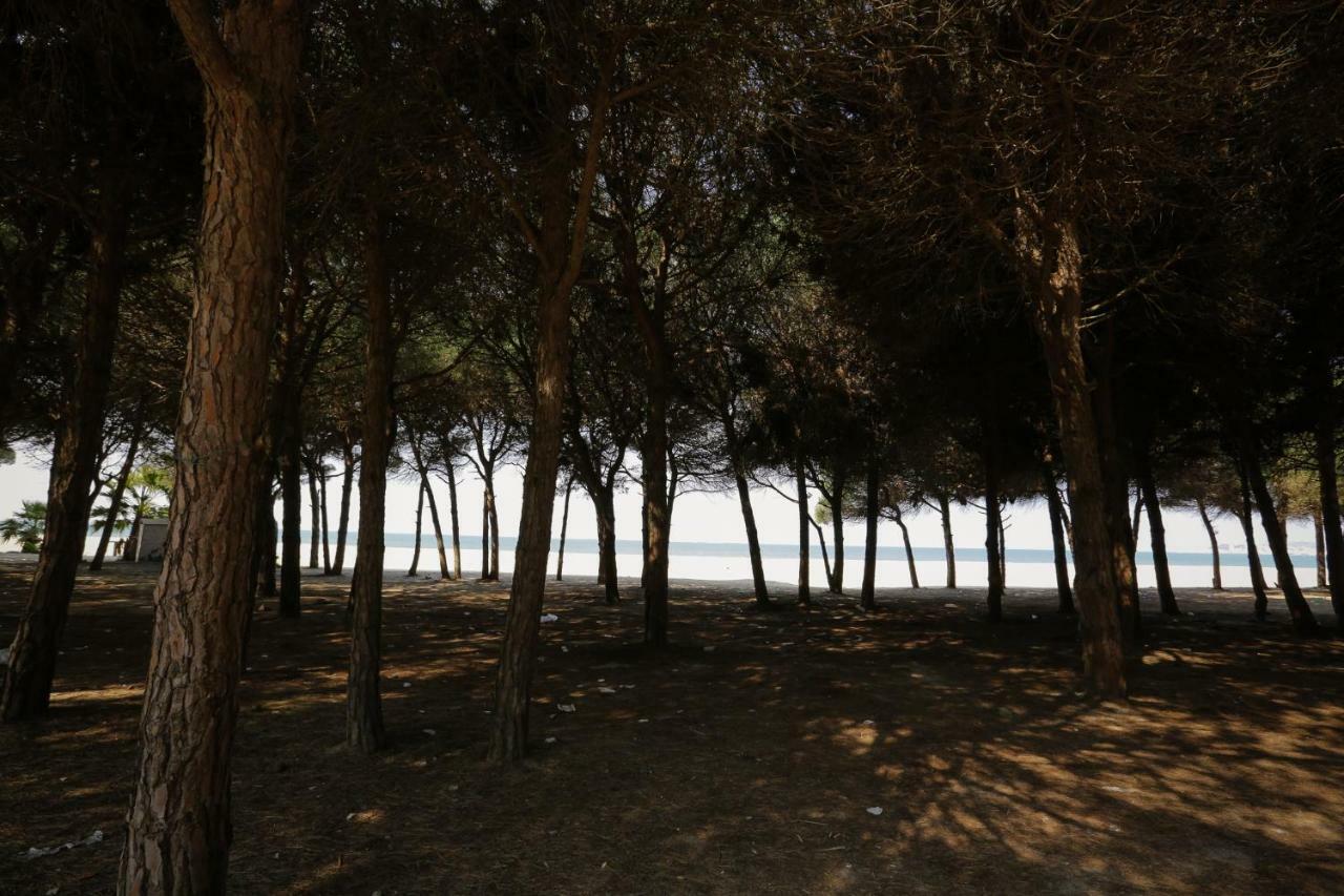 Pine-Tree Apt W/ Private Garden 50 M From The Sea 골렘 외부 사진